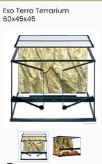 Exo terra terrarium 60x45x45, Dieren en Toebehoren, Reptielen en Amfibieën | Toebehoren, Ophalen, Zo goed als nieuw, Terrarium of Paludarium