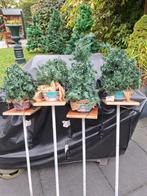 10 kleine kerstbomen met verlichting en statieven., Diversen, Kerst, Ophalen