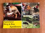 Berg & Bos Apeldoorn. Apenheul. 1988., Ophalen of Verzenden, 1980 tot heden, Ongelopen, Gelderland