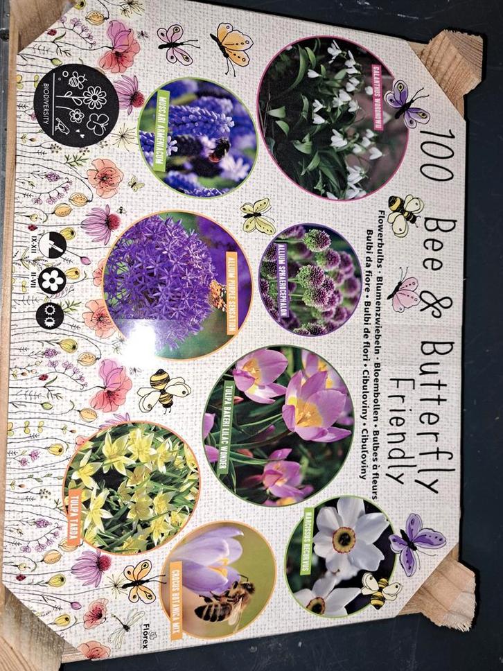 Kistje Bloembollen van Intratuin- Bij- en Vlindervriendelijk, Tuin en Terras, Bloembollen en Zaden, Bloembol, Najaar, Ophalen of Verzenden
