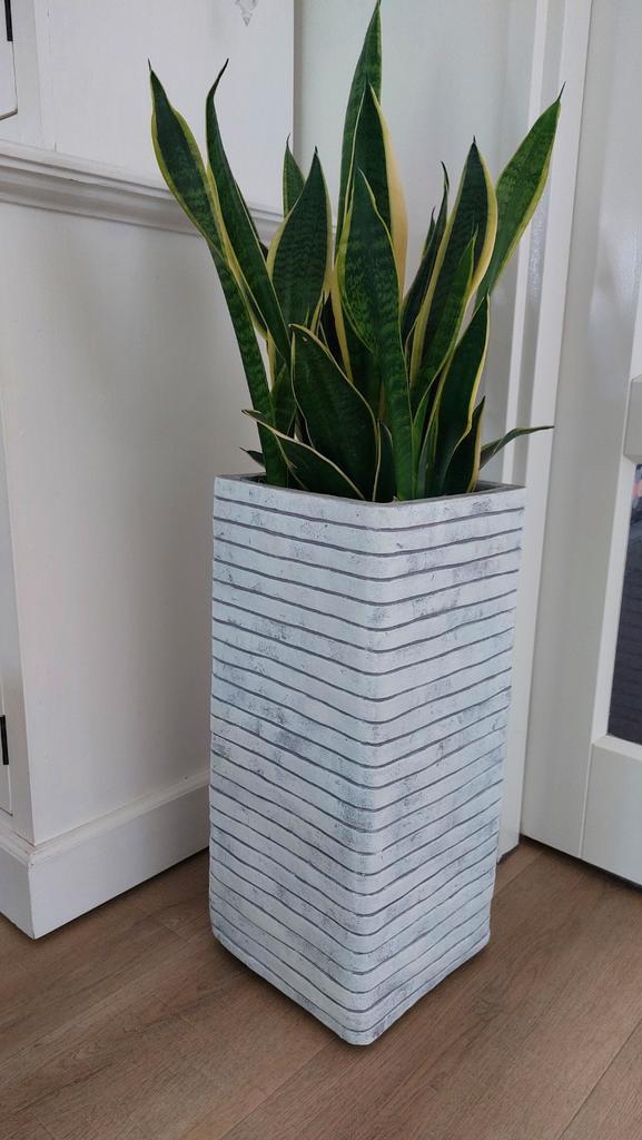 2x Capi Row Nature Bloempotten - Zo Goed Als Nieuw!, Tuin en Terras, Bloempotten, Zo goed als nieuw, Overige materialen, Binnen