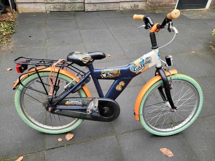 Gazelle Jungle 20 inch kinderfiets, Fietsen en Brommers, Fietsen | Meisjes, Gebruikt, 20 inch, Handrem, Ophalen