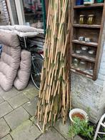 Bamboestokken, Tuin en Terras, Kweekspullen, Ophalen, Zo goed als nieuw, Kweeklamp