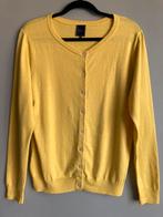 Josephine & Co maat XL geel vest katoen / kasjmier, Josephine & Co, Verzenden, Geel, Maat 46/48 (XL) of groter