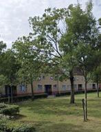 NIEUW! Woonruimte te huur Trekweg, Den Haag, Huizen en Kamers