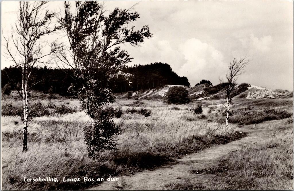 Terschelling - Langs bos en duin, Verzenden, 1960 tot 1980, Gelopen, Waddeneilanden