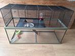 Knaagdieren kooi, Dieren en Toebehoren, Knaagdieren en Konijnen | Hokken en Kooien, Kooi, Gebruikt, Hamster, 75 tot 110 cm