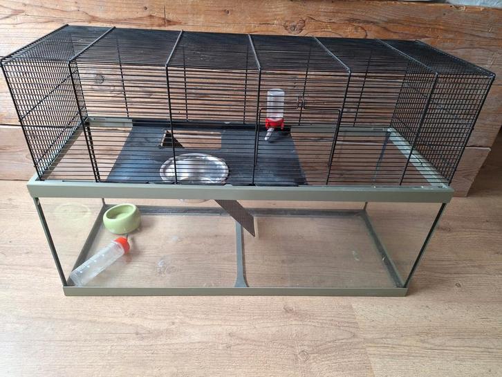 Knaagdieren kooi, Dieren en Toebehoren, Knaagdieren en Konijnen | Hokken en Kooien, Gebruikt, Kooi, Minder dan 60 cm, 75 tot 110 cm