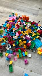 Grote bak Duplo Lego stenen, Kinderen en Baby's, Speelgoed | Duplo en Lego, Ophalen, Gebruikt, Losse stenen, Lego