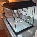 Aquariums

Juwel Primo Aquarium - 61 x 31 x 37 cm - 60 L - Z, Dieren en Toebehoren, Vissen | Aquaria en Toebehoren, Ophalen