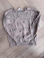 Lief konijnen truitje maat 122/128, Kinderen en Baby's, Kinderkleding | Maat 116, Ophalen of Verzenden, Gebruikt, Meisje, Trui of Vest