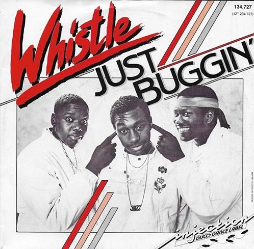Whistle, Cd's en Dvd's, Vinyl | Pop, Zo goed als nieuw, 1980 tot 2000, Overige formaten, Ophalen of Verzenden
