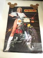 Kreidler Vintage Posters…xxxl 3 stuks, Ophalen, Gebruikt, Overige typen