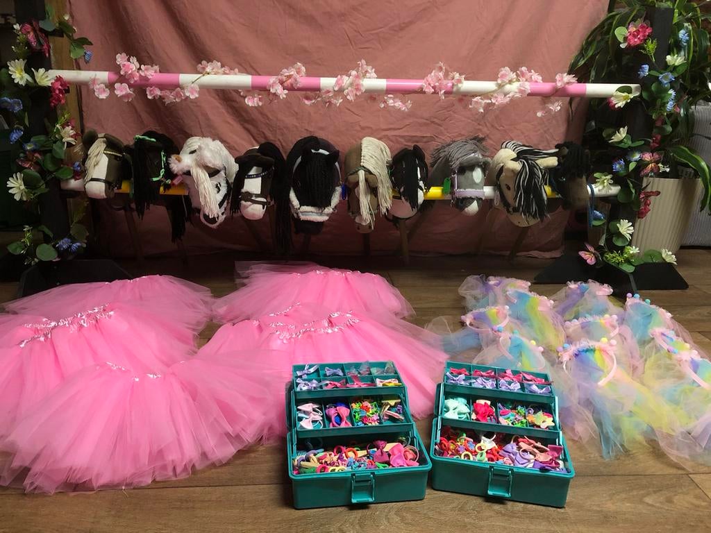 Prinsessen feestje hobby horses feestje, Ophalen, Nieuw