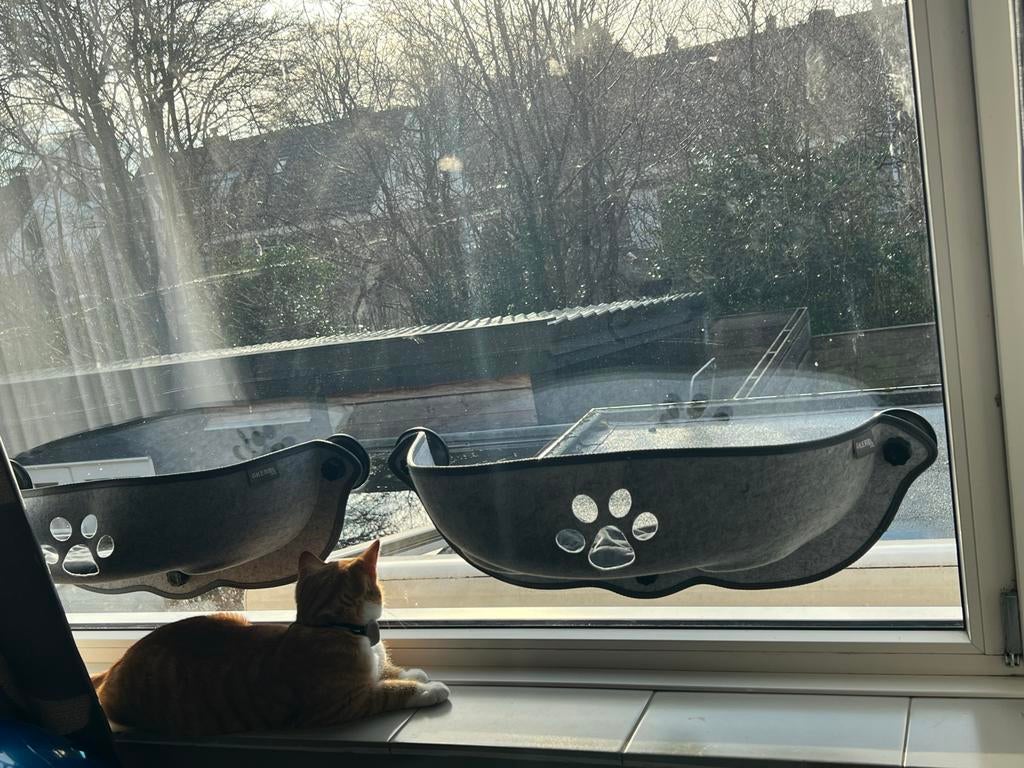 Venster ligplaatsjes katten, Ophalen of Verzenden, Zo goed als nieuw