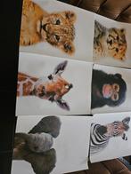 6 Jungle Canvas Posters - 30x40cm - Super Leuk!, Ophalen, Zo goed als nieuw