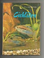 Cichliden - R.J. Goldstein, Gelezen, Ophalen of Verzenden, Vissen