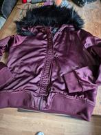 Leuke winterjas, Kleding | Dames, Jassen | Winter, Maat 42/44 (L), Ophalen of Verzenden, Zo goed als nieuw, Paars