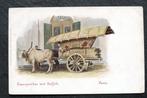 Transportkar met buffels op Java, pre 1905, Verzenden, Voor 1920, Ongelopen, Overige soorten