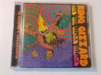 King Gizzard and the Lizard Wizard CD - Willoughby's Beach, Ophalen of Verzenden, Zo goed als nieuw