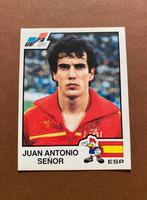 Panini euro'84 # 223, Verzamelen, Ophalen of Verzenden, Zo goed als nieuw, Buitenlandse clubs, Poster, Plaatje of Sticker