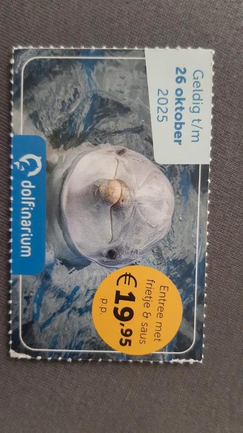 Korting Dolfinarium Harderwijk, Tickets en Kaartjes, Recreatie | Dierentuinen, Drie personen of meer, Kortingskaart