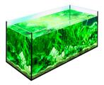 Aquarium 54 liter met toebehoren, Dieren en Toebehoren, Vissen | Aquaria en Toebehoren, Ophalen, Zo goed als nieuw, Leeg aquarium
