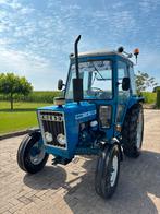 Ford 3600 trekker, Mannelijk, Kip