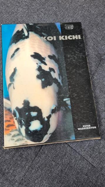 Koi Kichi beschikbaar voor biedingen