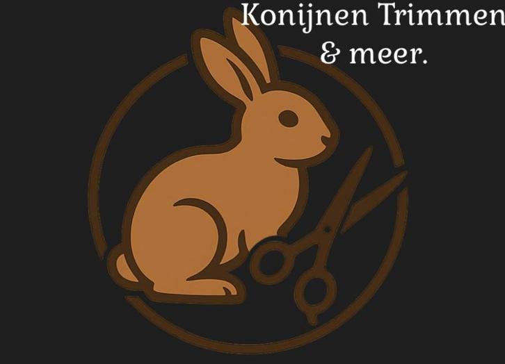 Konijnen Trimster met plek in haar agenda!, Dieren en Toebehoren, Konijnen, Meerdere dieren