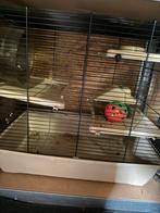 Hamster paleis, Dieren en Toebehoren, Minder dan 60 cm, Ophalen of Verzenden, Zo goed als nieuw, Hok