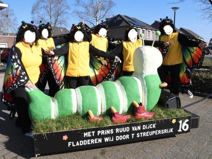 Loopgroep optocht, Kleding | Dames, Carnavalskleding en Feestkleding, Gedragen, Kleding, Carnaval, Ophalen