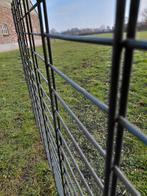 Dubbelstaaf hekwerk matten, Ophalen of Verzenden, IJzer