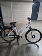 batterijen voor deze fiets, Ophalen of Verzenden, Gebruikt
