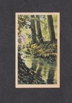 Albumplaatje Hierden Hierdense Beek Veluwe (2)., Ophalen of Verzenden, Zo goed als nieuw