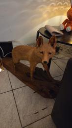 Opgezette vos op sokkel - mist staart, Ophalen