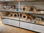 Cavia hok flat, Dieren en Toebehoren, Knaagdieren en Konijnen | Hokken en Kooien, Ophalen, 90 cm of meer, Hok, Cavia