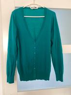 Groen vest Annu Rolfi maat XL, Ophalen of Verzenden, Zo goed als nieuw, Maat 46/48 (XL) of groter, Groen