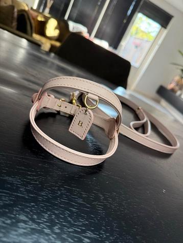 PERRO Tuigje (XS) + lijn. beschikbaar voor biedingen