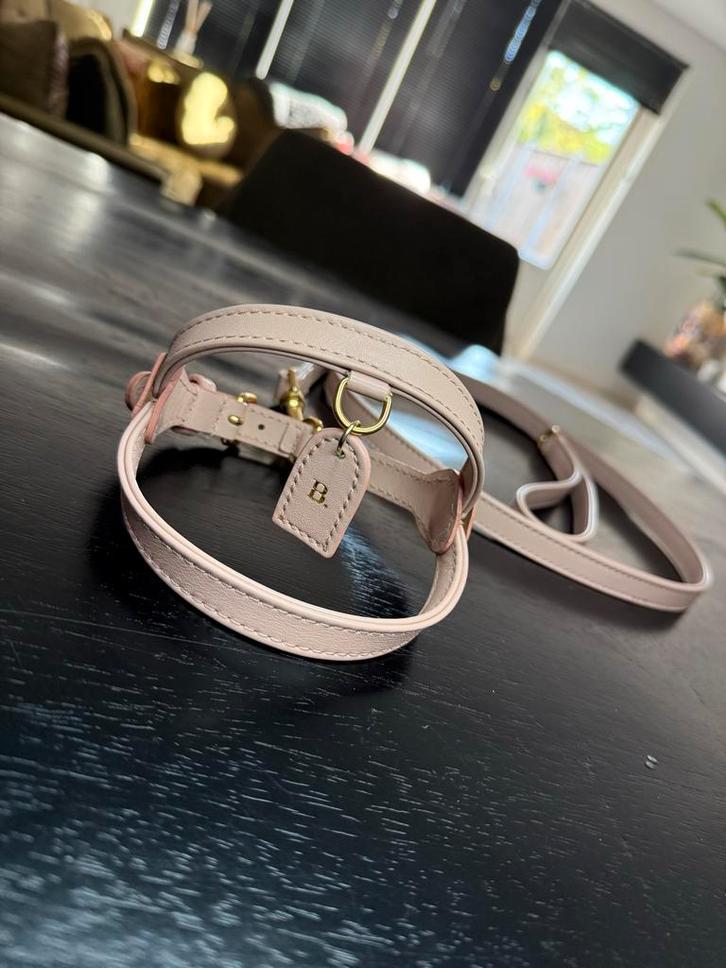 PERRO Tuigje (XS) + lijn., Dieren en Toebehoren, Hondenhalsbanden en Penningen, Zo goed als nieuw, Ophalen of Verzenden