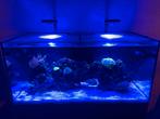 TMC aquaray P9 te koop of ruil tegen red sea 90, Dieren en Toebehoren, Vissen | Aquaria en Toebehoren, Ophalen, Zo goed als nieuw