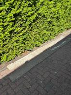 Steigerplanken 3 stuks a 293 cm, Doe-het-zelf en Verbouw, Hout en Planken, Ophalen, Gebruikt, 25 tot 50 mm, 250 tot 300 cm