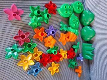 duplo heel veel bloemen beschikbaar voor biedingen