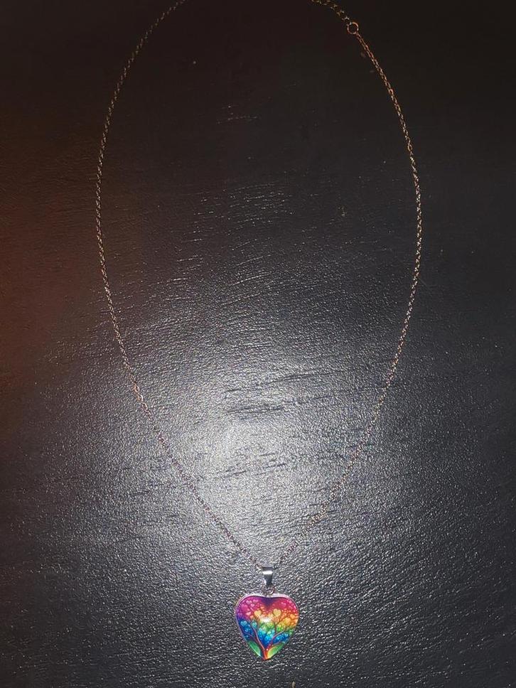 Kleurrijke Hart Ketting, Sieraden, Tassen en Uiterlijk, Kettingen, Zo goed als nieuw, Overige materialen, Overige kleuren, Met hanger