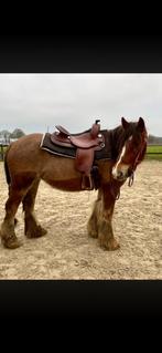 Deuber partner westernzadel verstelbare boom!!, Dieren en Toebehoren, Ophalen of Verzenden, Zo goed als nieuw, Western