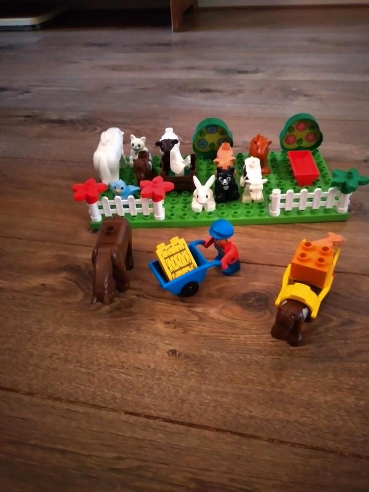 Duplo boerderij dieren, Kinderen en Baby's, Speelgoed | Duplo en Lego, Gebruikt, Duplo, Losse stenen, Ophalen of Verzenden