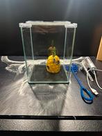 Nano cube aqaurium, Ophalen, Leeg aquarium