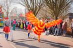 Carnaval kip, Kleding | Dames, Ophalen, Zo goed als nieuw, Carnaval