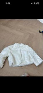 Wit bont jas, Kleding | Dames, Jassen | Winter, Ophalen, Zo goed als nieuw, Maat 34 (XS) of kleiner, Wit