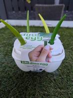 Ijslolly vorm dino in ei, Huis en Inrichting, Keuken | Keukenbenodigdheden, Ophalen of Verzenden, Nieuw